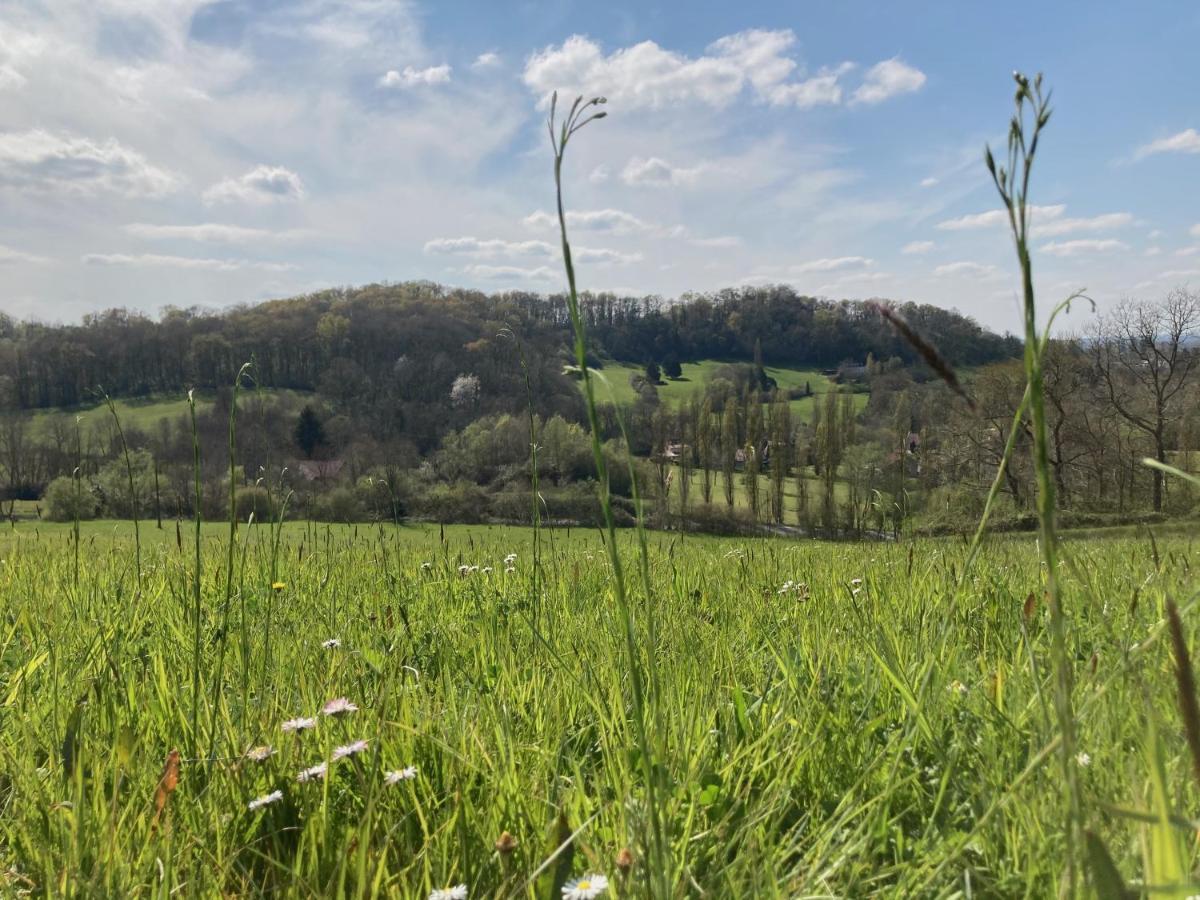 Domaine Labouroume 호텔 Salies-de-Béarn 외부 사진