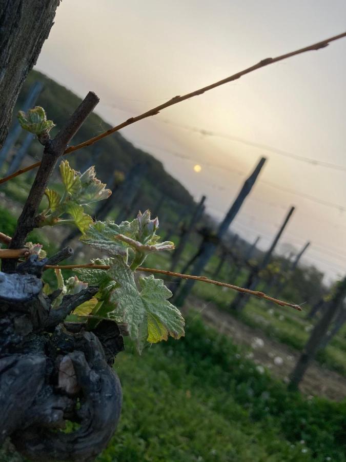Domaine Labouroume 호텔 Salies-de-Béarn 외부 사진