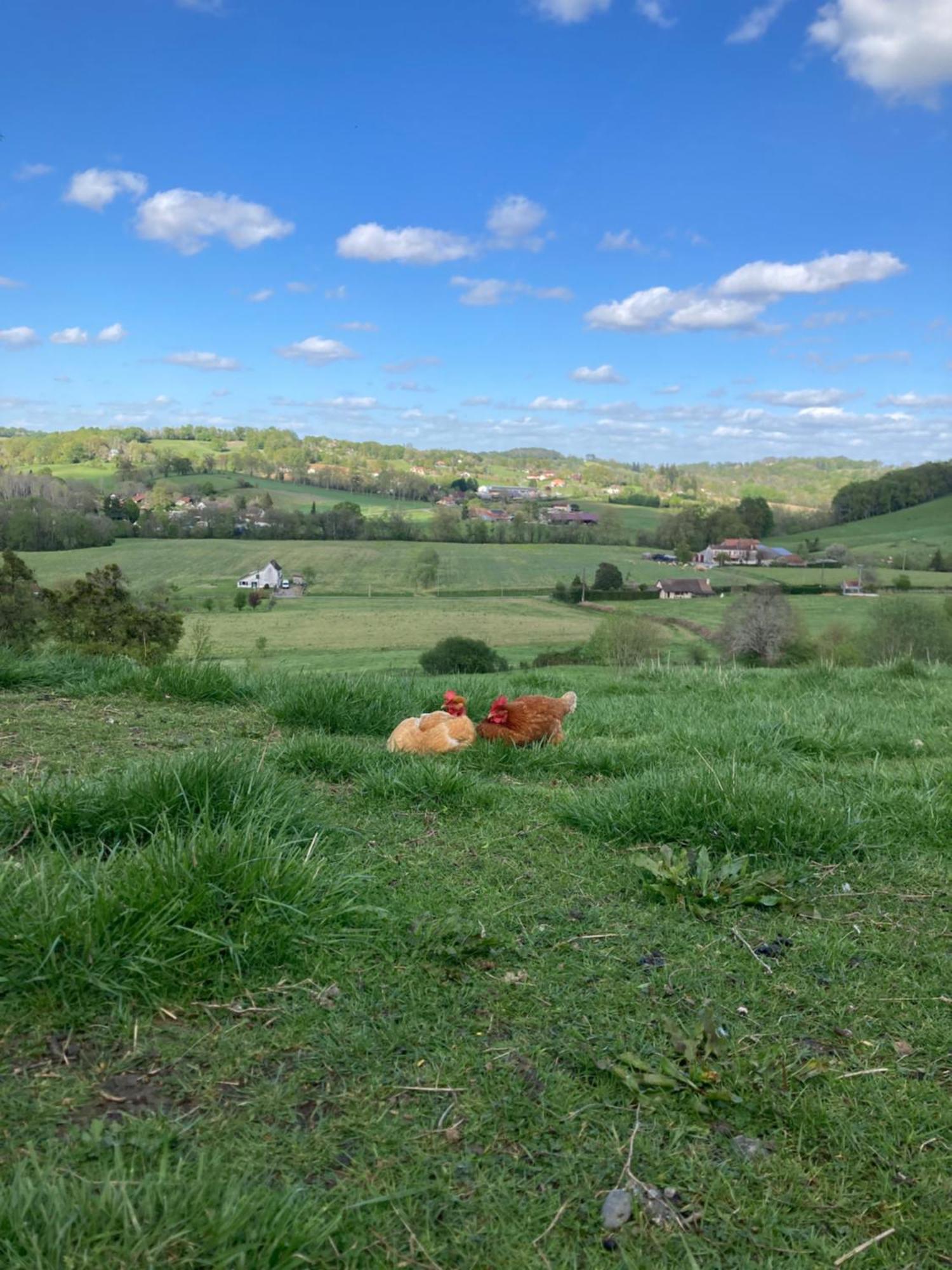 Domaine Labouroume 호텔 Salies-de-Béarn 외부 사진
