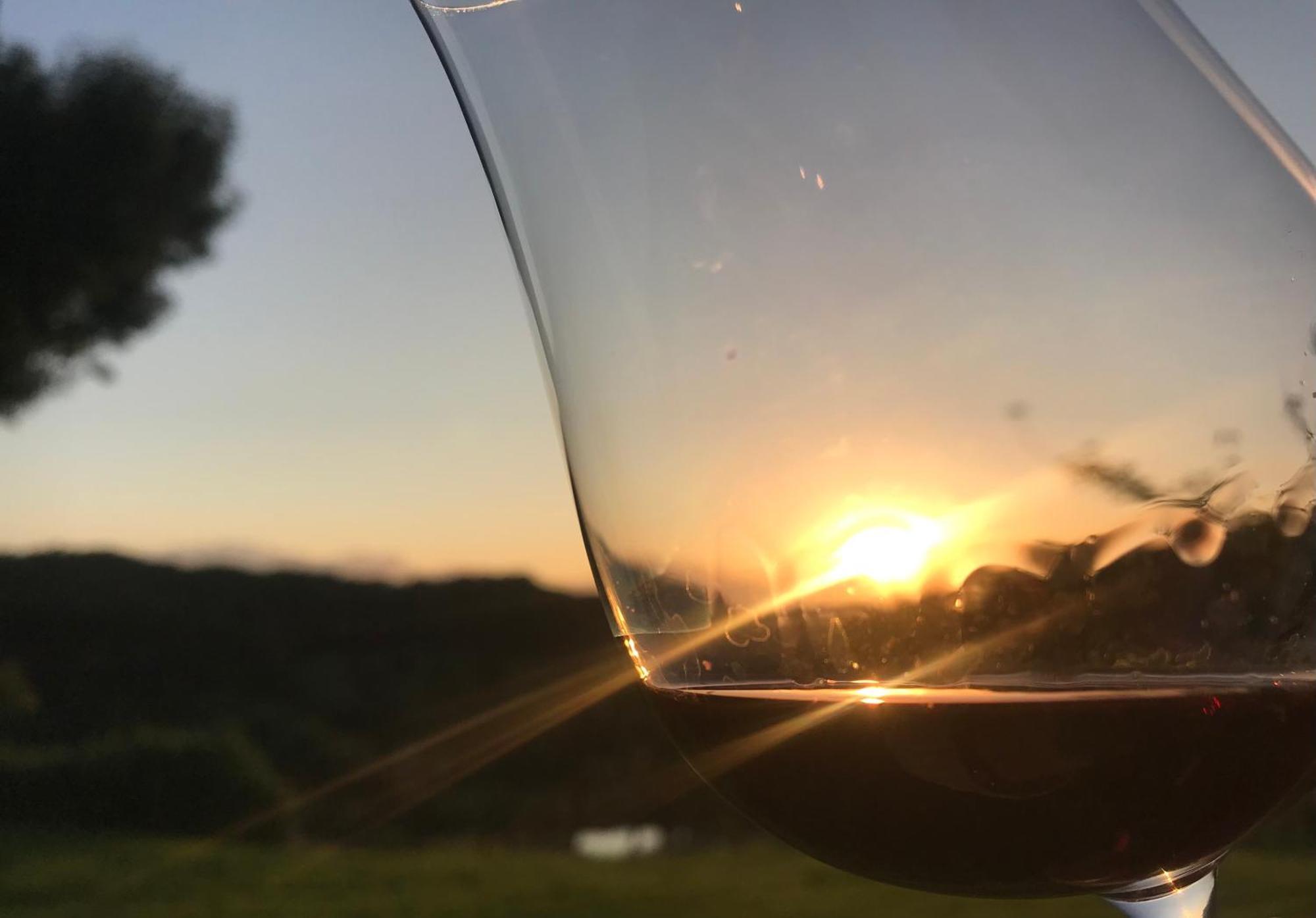 Domaine Labouroume 호텔 Salies-de-Béarn 외부 사진